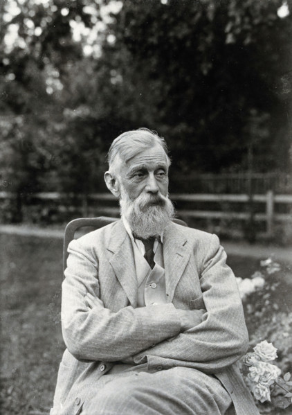 Sir Michael Foster, c1905. Creator: Louis Cobbett.