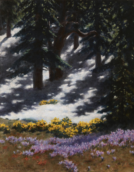 Crocuses and Marsh-Marigolds, July 23, 1907. Creator: Stanislaw Witkiewicz.