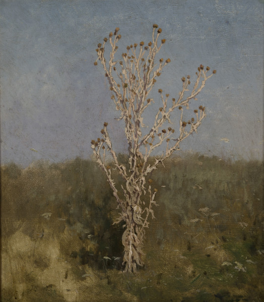 Carduus (plumeless thistles), 1885. Creator: Jan Stanislawski.