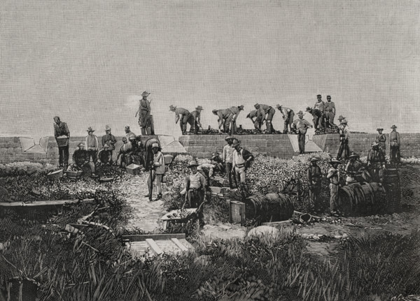 Fortification works on the coast of Santiago de Cuba, Cuban War of Independence (1895-1898), 1898. Creator: Arturo Carretero y Sánchez.