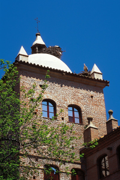 Architectural detail, Toledo-Moctezuma Palace, Cáceres, Extremadura, Spain, 2008.  Creator: LTL.
