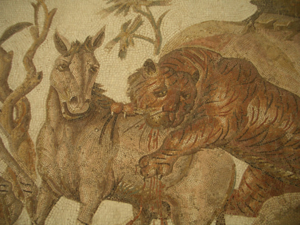 Mosaic, El Jem Museum, El Djem, Tunisia, 2009. Creator: Amanda Waite.