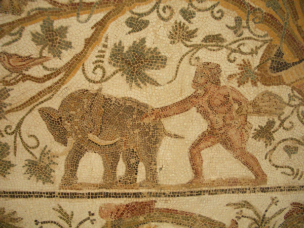 Mosaic, El Jem Museum, El Djem, Tunisia, 2009. Creator: Amanda Waite.