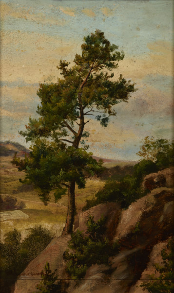 Stone Pine, before 1870. Creator: Heinrich Grabinski.