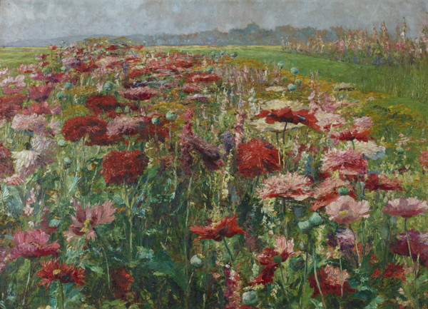 Blooming Poppy, c1895-1900. Creator: Wisinger-Florian, Olga (1844-1926).