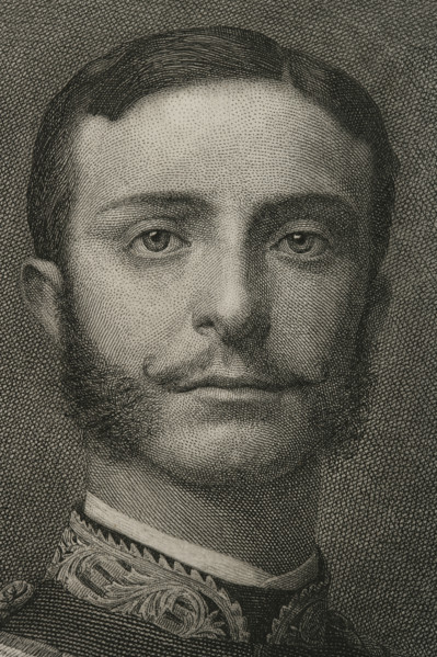 Portrait of Alfonso XII (Madrid, 1857-Madrid, 1885), King of Spain (1874-1885), 1882.  Creator: Bartolome Maura Montaner.