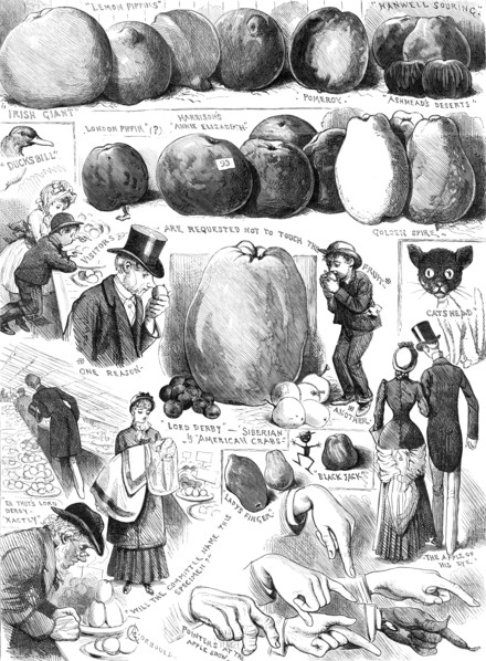 Sketches at the Apple Congress at Chiswick, 1883. Creator: Unknown.