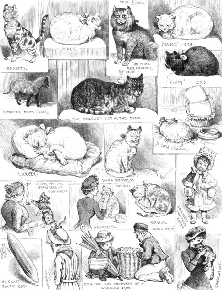Sketches of the Cat Show at the Crystal Palace, 1883. Creator: Unknown.