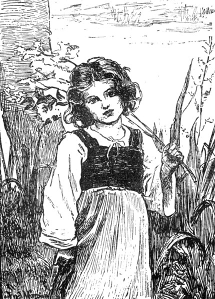 Meadow-Sweet by F. Morgan:...Institute of Painters in Oil Colours, 1883. Creator: Unknown.