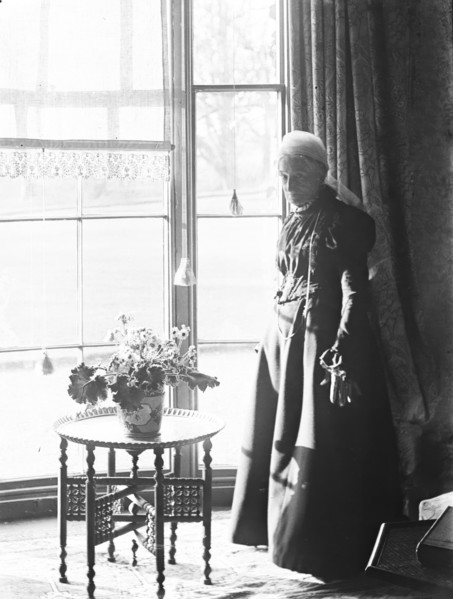 Aunt Emily Hudson ( 2nd wife of Robert Spear Hudson of Hudson Soaps), c1900s.  Creator: Robert Augustus Henry L'Estrange.