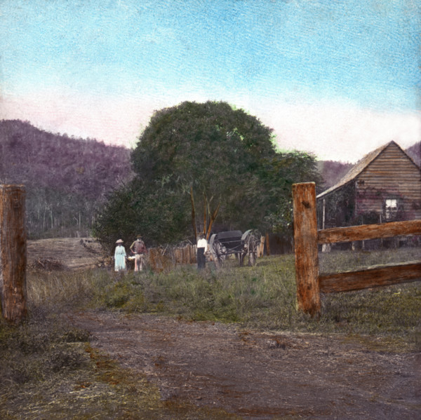 Farm cottage "The Homestead", Canungra Region, c1888. Creator: Robert Augustus Henry L'Estrange.