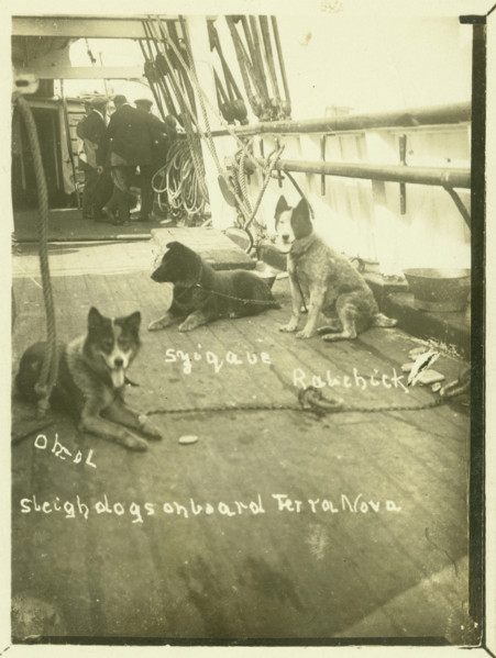 Terra Nova, Antartic Expedition, c1913. Creator: Unknown.