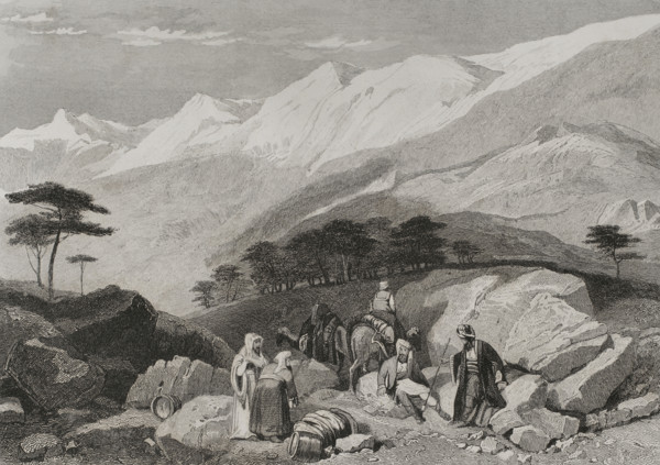 Cedars, Mount Lebanon, 1840. Creator: Charles Nicolas Ransonnette.