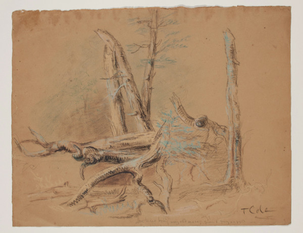Trunks of Trees and Foliage, between 1820 and 1848. Creator: Thomas Cole.