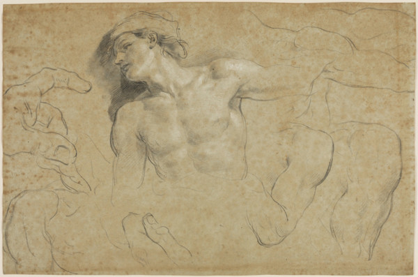 Studies of a Male Torso with Additional Studies of Hands, Shoulders, and a Leg, between 1650 & 1719. Creator: Carlo Cignani.