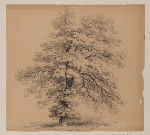 Switzerland, September 15, 1840. Creator: John William Casilear.