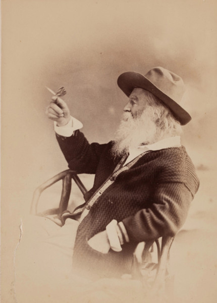Walt Whitman, c1870s. Creators: Walt Whitman, Philips and Taylor.