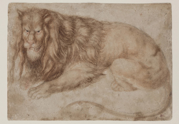 Recumbent Lion, between 1494 and 1495. Creator: Albrecht Durer.