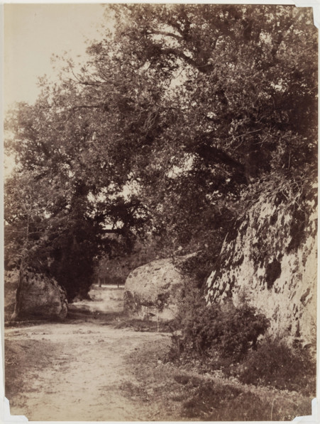 Forest Path, c1853. Creator: Eugène Cuvelier.
