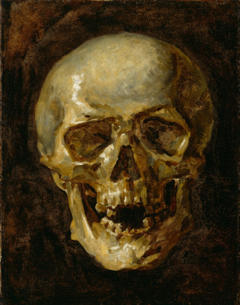 Skull, 19th century. Creator: Unknown.