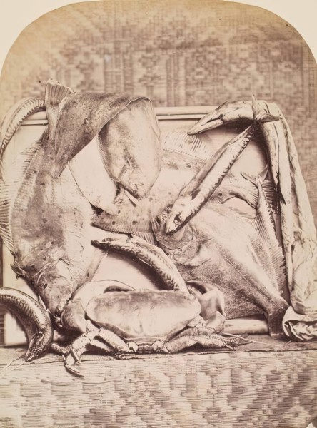 The Catch, Perthshire, from an album compiled by Sir John Everett Millais. Creator: Unknown.