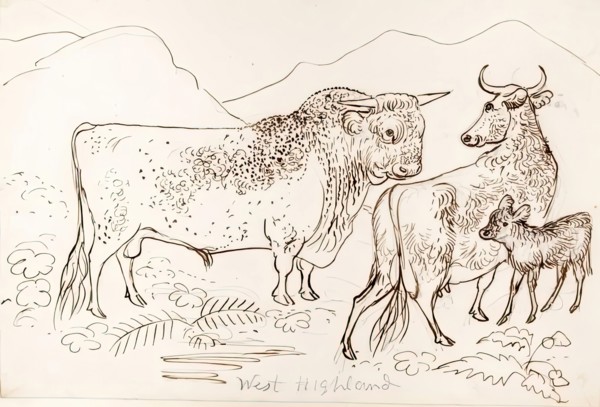 West Highland Cattle, 1825-1839. Creator: James Howe.