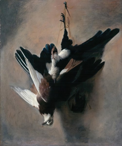 A Pigeon and Magpie, 1685. Creator: William Gowe Ferguson.