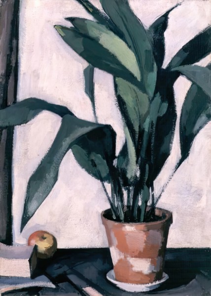 Aspidistra, 1927. Creator: Samuel John Peploe.