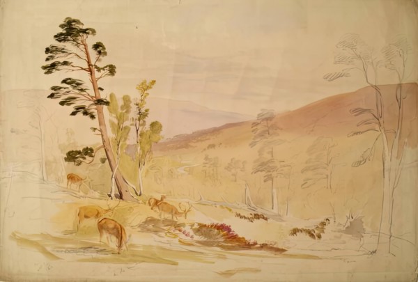 In the Lui More, 1844. Creator: James William Giles.