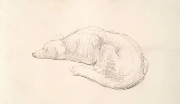 A Dog, c1830s. Creator: John Phillip.