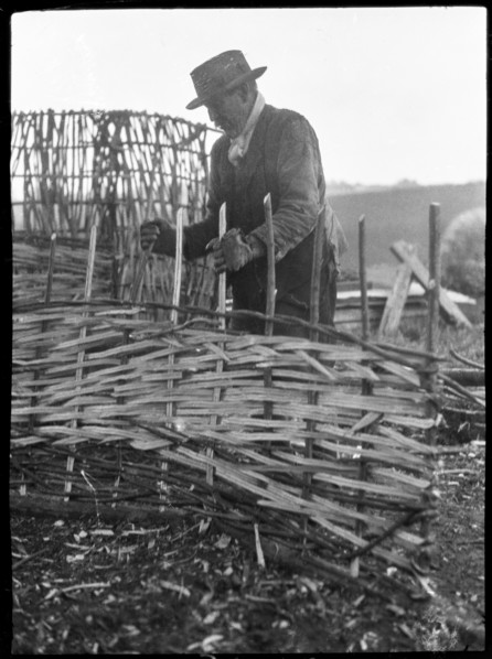 A hurdle maker at work near the town of Alton, East Hampshire, Hampshire, 1920-1960. Creator: George R Long.