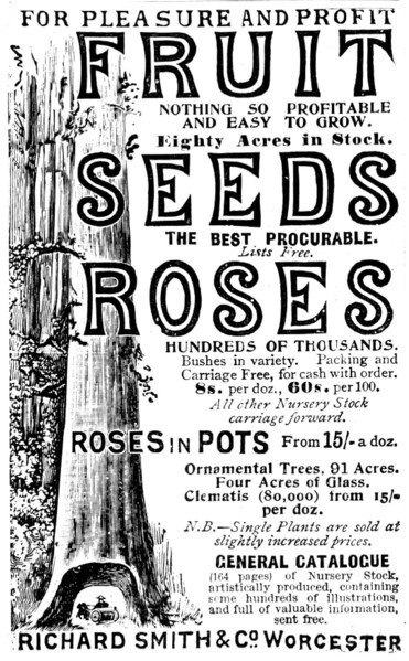 Advertisement for Richard Smith & Co's Fruit, Seeds and Roses, 1895. Creator: Unknown.