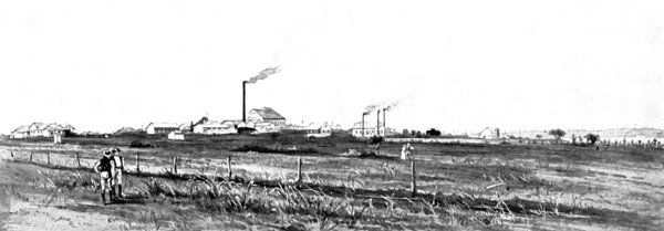 The Buffelsdoorn Mine: general view of Buffelsdoorn Works, 1895. Creator: George Meisenbach.