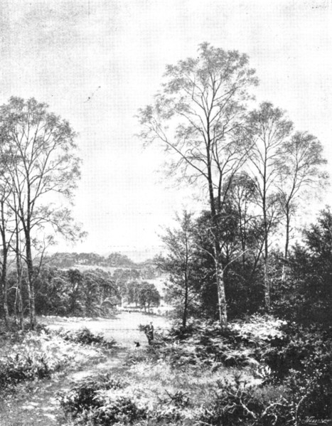 Pictures from the Royal Academy: A Sunny Morning: Surrey - B. W. Leader, A.R.A., 1895. Creator: George Meisenbach.