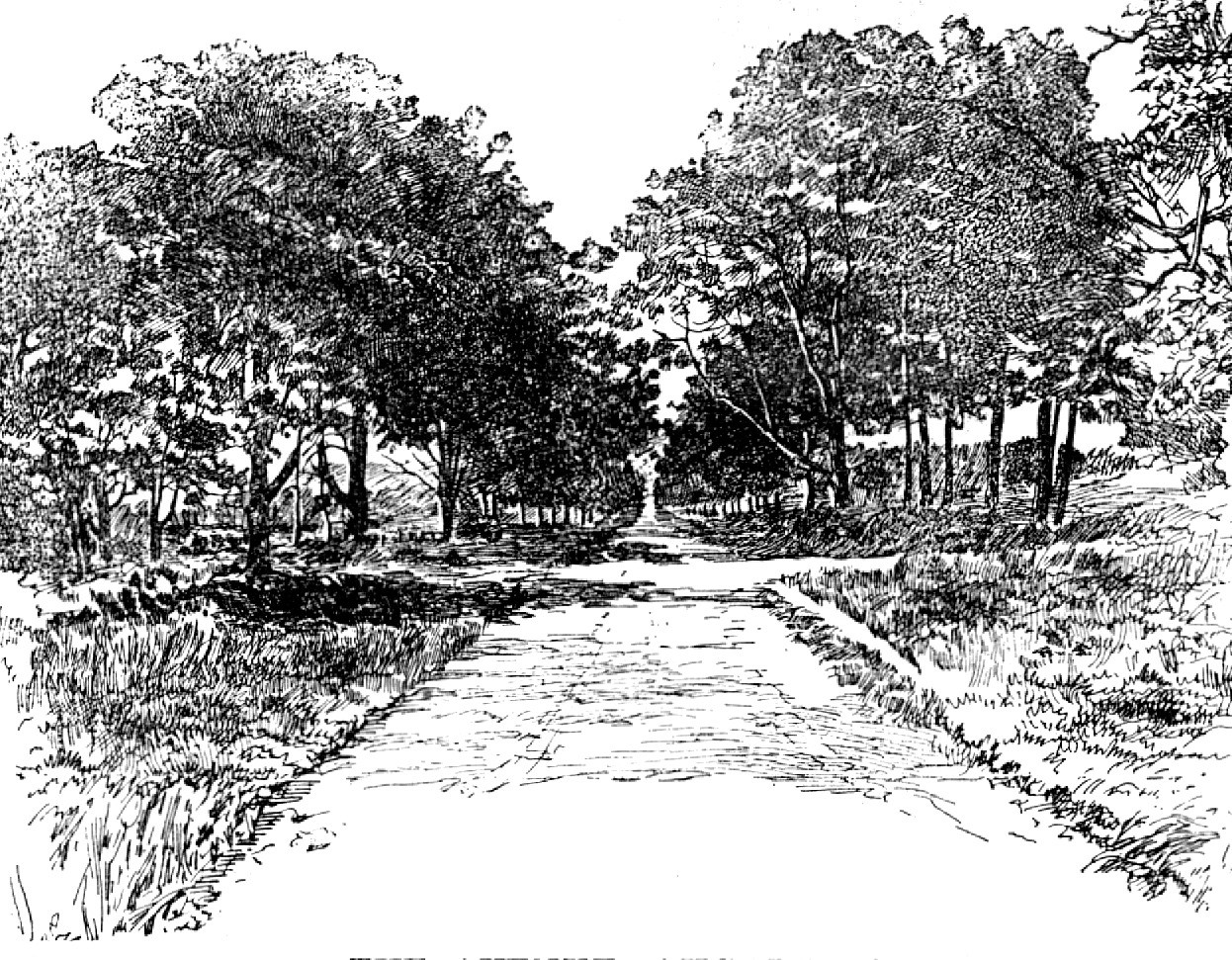 The Boswell Centenary: The Avenue, Auchinleck, 1895. Creator: Unknown.