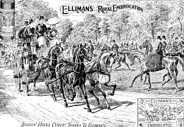 Advertisement for Elliman's Royal Embrocation, 1895. Creator: Joseph Swain.