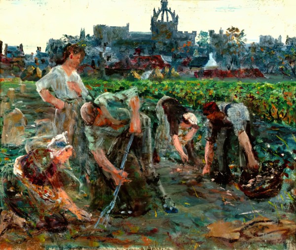 Potato Diggers, Kings College, c1900s. Creator: George Sherwood Hunter.