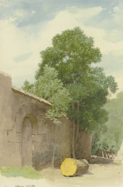 Sawed-off tree trunk in front of a wall at the Rothenburg Wildbad, 1869. Creator: Carl Theodor Reiffenstein.