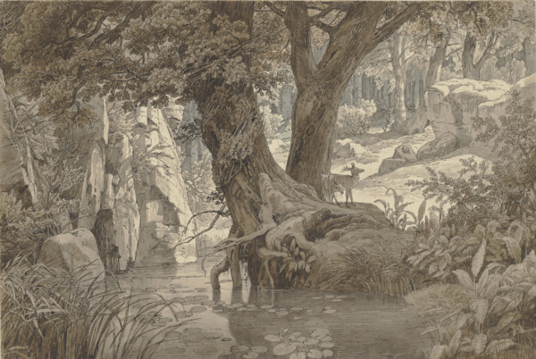 Forest landscape, 1832. Creator: Johann Wilhelm Schirmer.