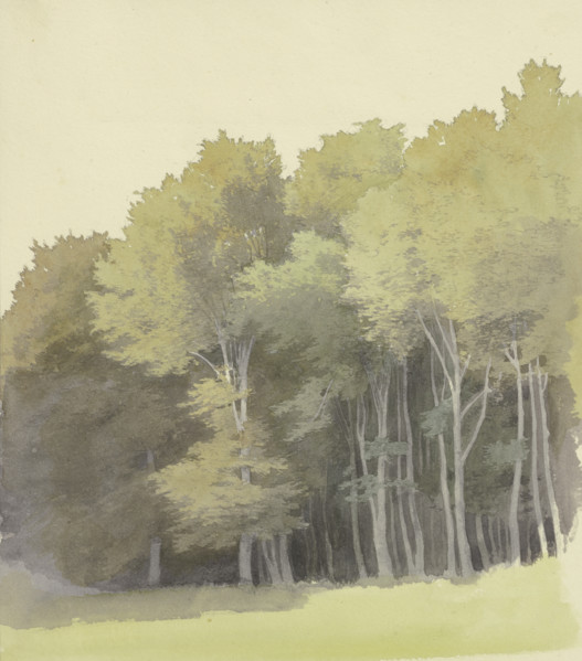 Edge of a wood, c1853. Creator: Carl Theodor Reiffenstein.