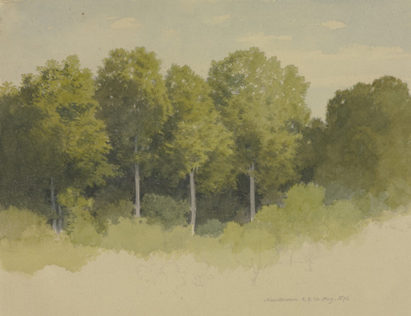 Forest edge near Maulbronn, 1871. Creator: Carl Theodor Reiffenstein.