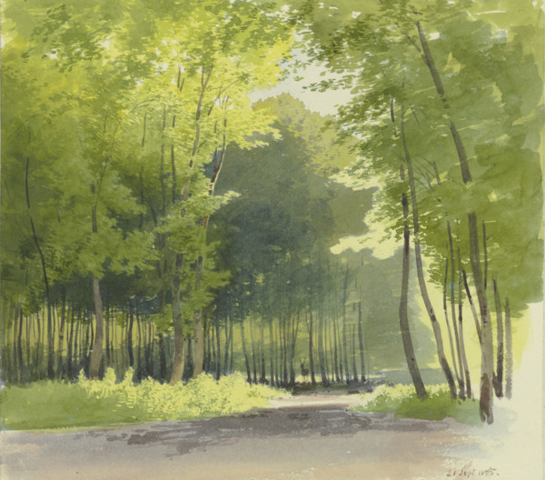 Forest section, 1855. Creator: Carl Theodor Reiffenstein.