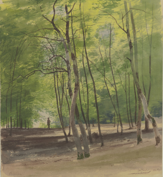Forest near Braunfels, 1855. Creator: Carl Theodor Reiffenstein.