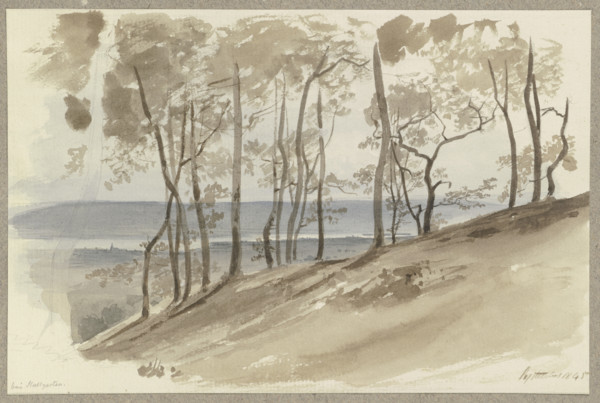 Group of trees on a slope near Hallgarten, the Rhine and a ridge in the background, 1845. Creator: Carl Theodor Reiffenstein.