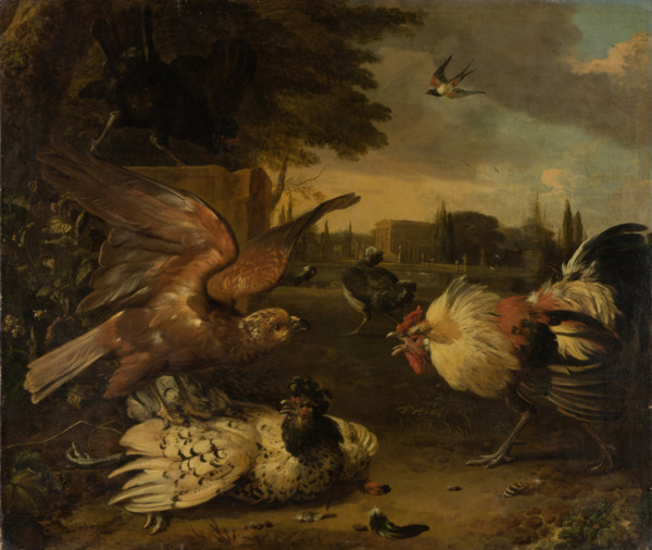 A Cock Defends a Hen from an Attacking Bird of Prey, c1680-1690. Creator: Melchior d'Hondecoeter.