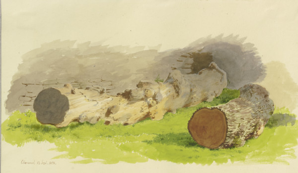 Sawed-off tree trunks in front of a wall in Oberwesel, 1858. Creator: Carl Theodor Reiffenstein.