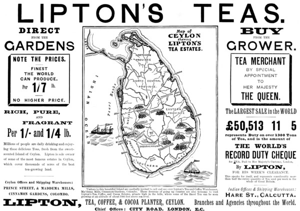 Advertisement for Lipton's Teas, 1898. Creator: Unknown.