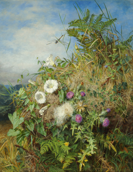 Wild flowers at the corner of a cornfield. Creator: Mutrie, Martha Darley (1824-1885).