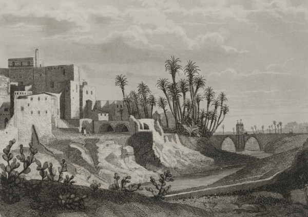 Elche, Alicante province, Spain, 1853.  Creator: Antonio Roca Sallent.