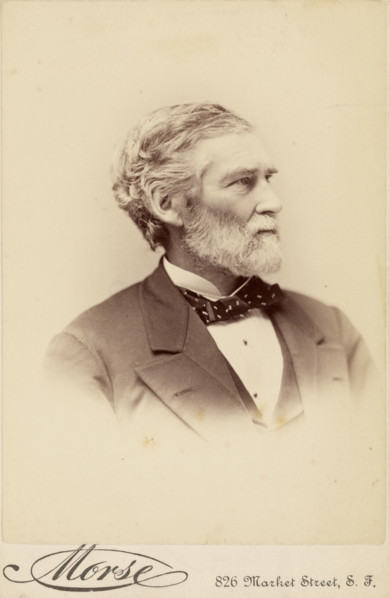 George Davidson, about 1884. Creator: George Daniels Morse.